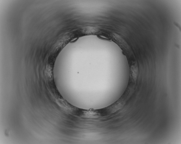 X0000102760380200809021012