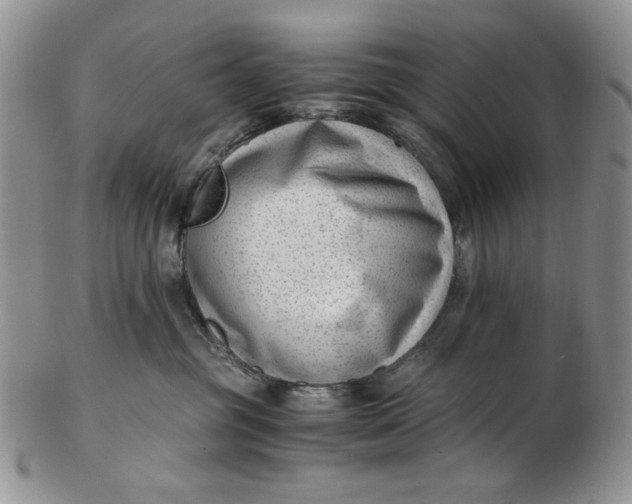 X0000102760381200809021012