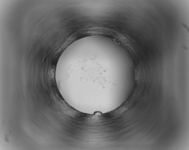 X0000102760382200809021012