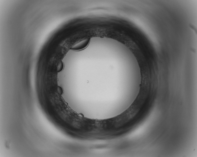 X0000102760383200809021012