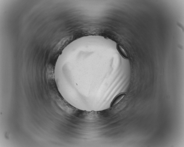 X0000102760384200809021012