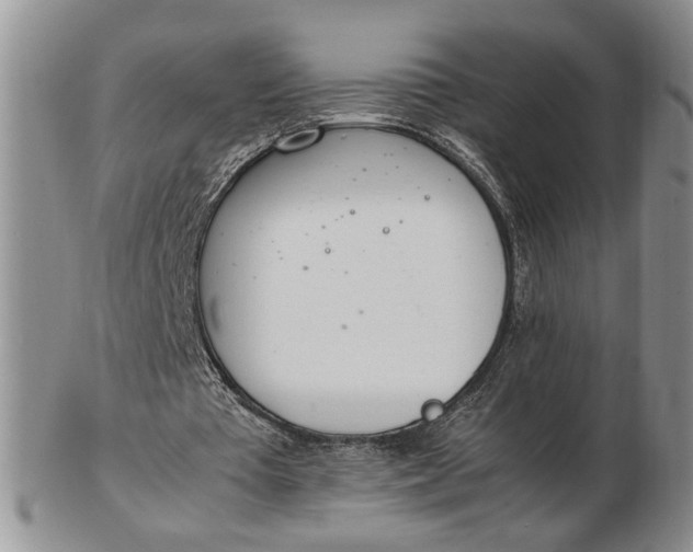 X0000102760385200809021012