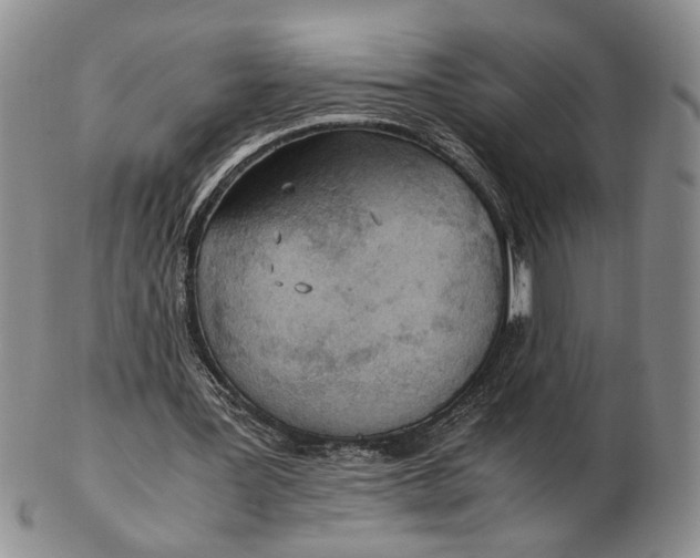 X0000102760387200809021012