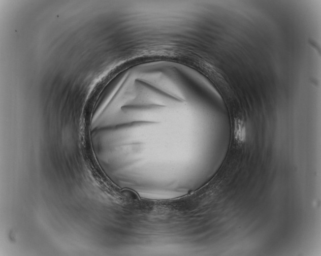 X0000102760388200809021012