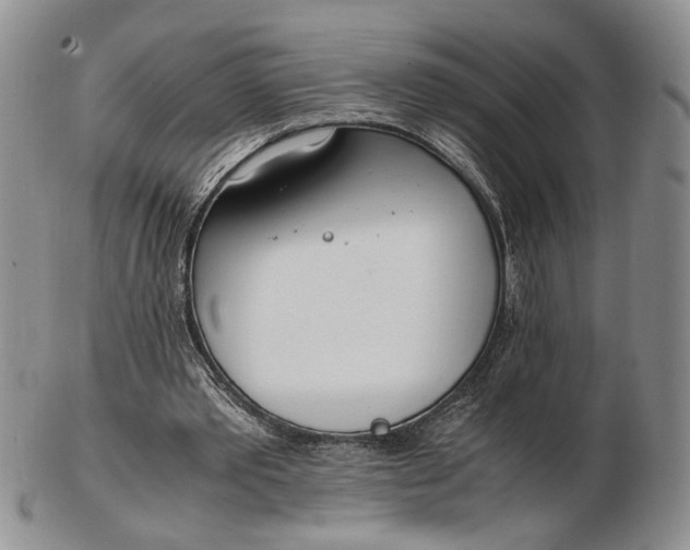 X0000102760389200809021012