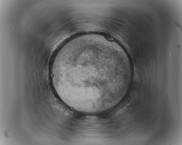 X0000102760391200809021012