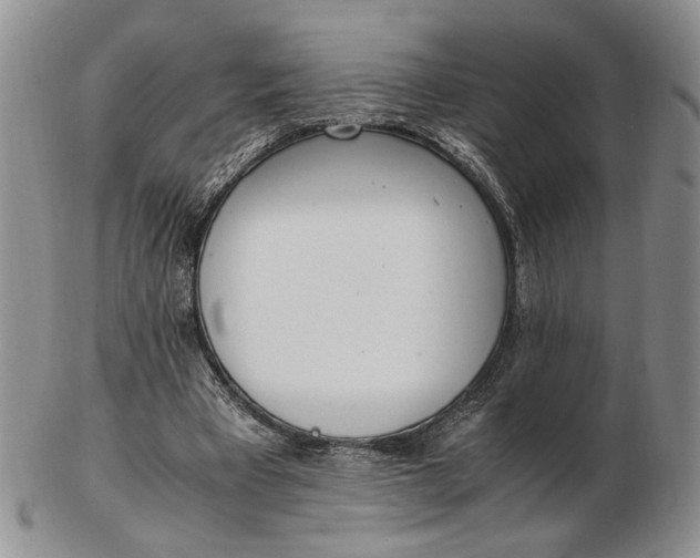 X0000102760393200809021012