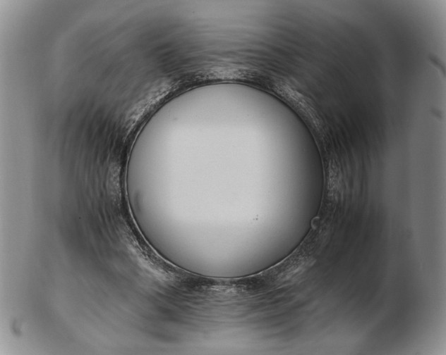 X0000102760394200809021012