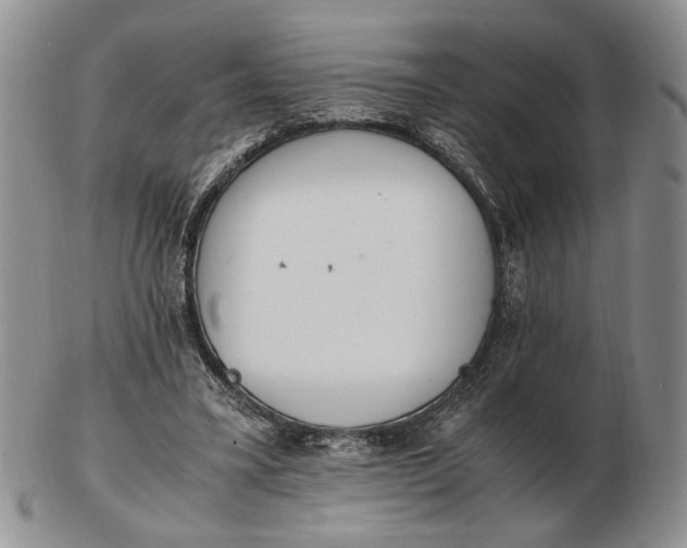 X0000102760395200809021012