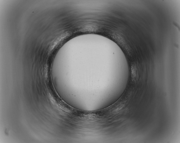 X0000102760396200809021012