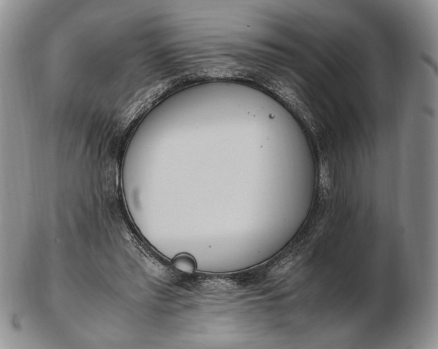 X0000102760397200809021012