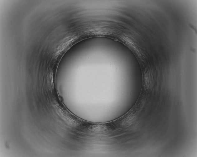 X0000102760398200809021012