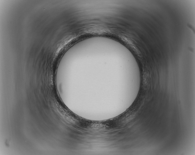 X0000102760399200809021012