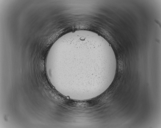 X0000102760401200809021011