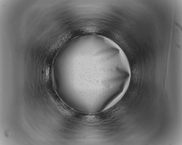 X0000102760406200809021011