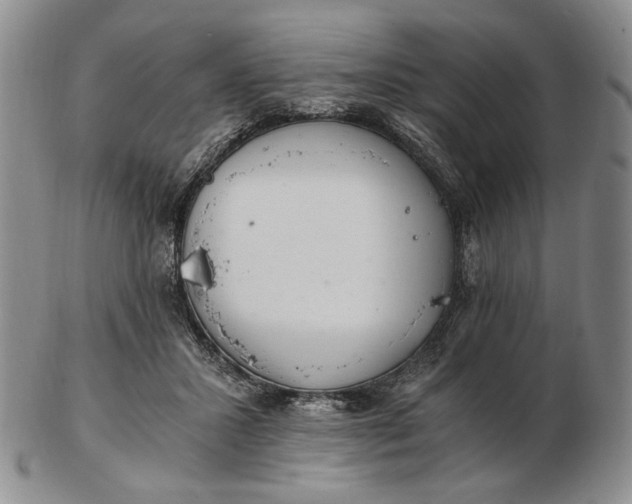 X0000102760407200809021011