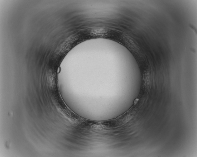 X0000102760408200809021011