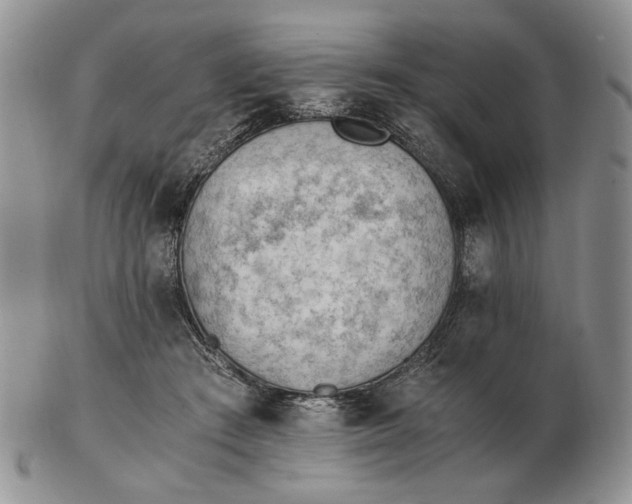 X0000102760409200809021011