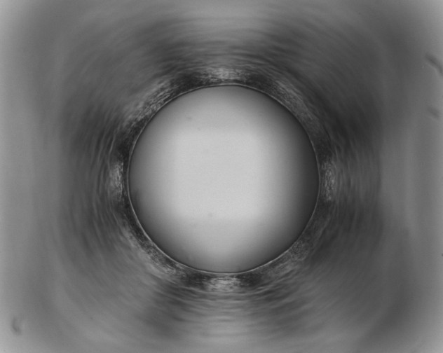 X0000102760410200809021011