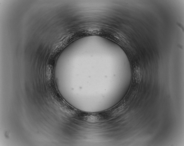 X0000102760412200809021011