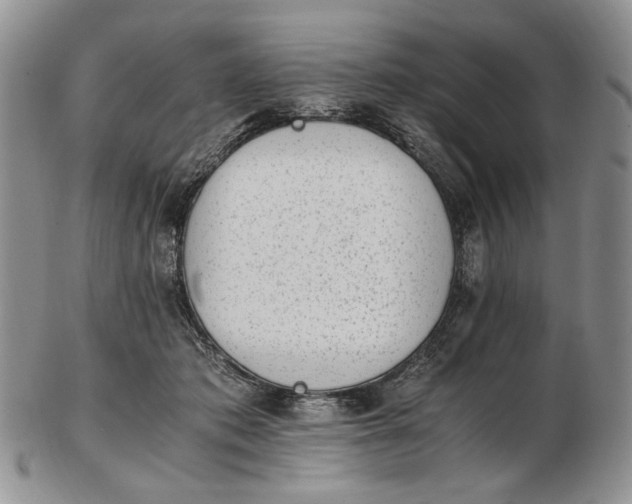 X0000102760413200809021011