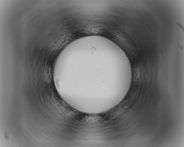 X0000102760414200809021011