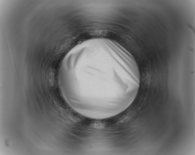 X0000102760416200809021011