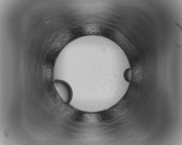 X0000102760417200809021011