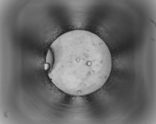 X0000102760419200809021011