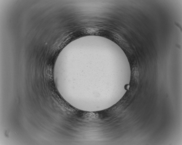 X0000102760421200809021011