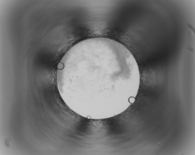 X0000102760423200809021011