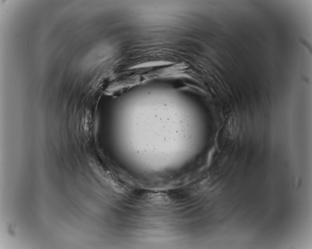 X0000102760424200809021011