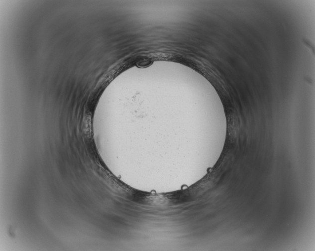 X0000102760425200809021011