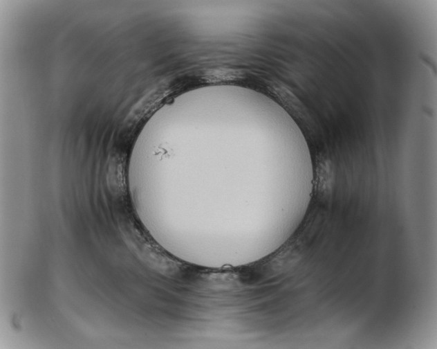 X0000102760426200809021011