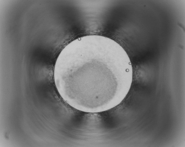 X0000102760427200809021011