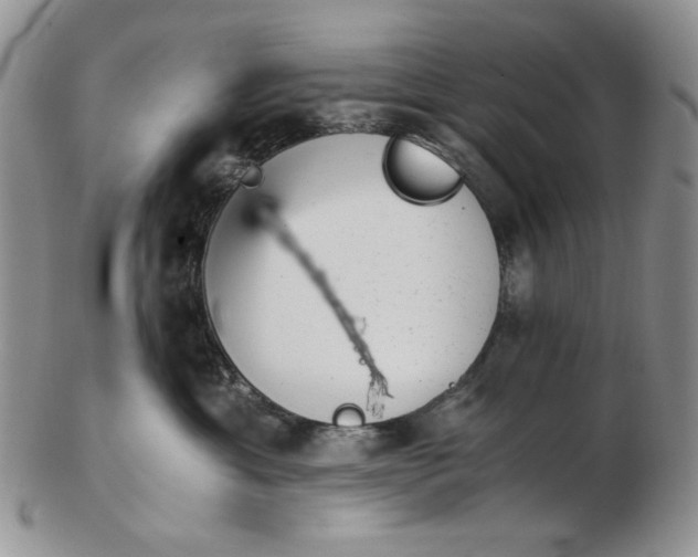 X0000102760429200809021011