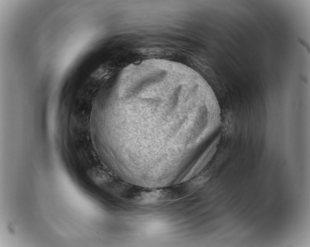 X0000102760430200809021011