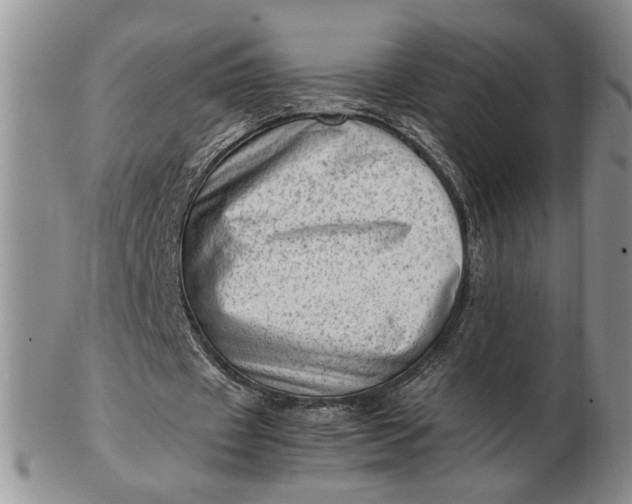 X0000102760433200809021010