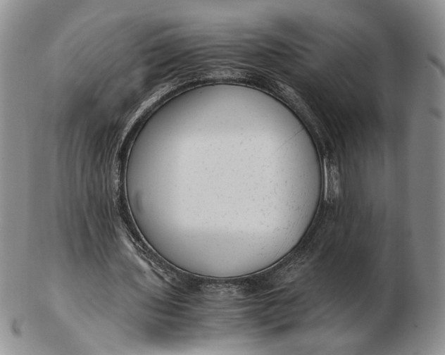 X0000102760435200809021010