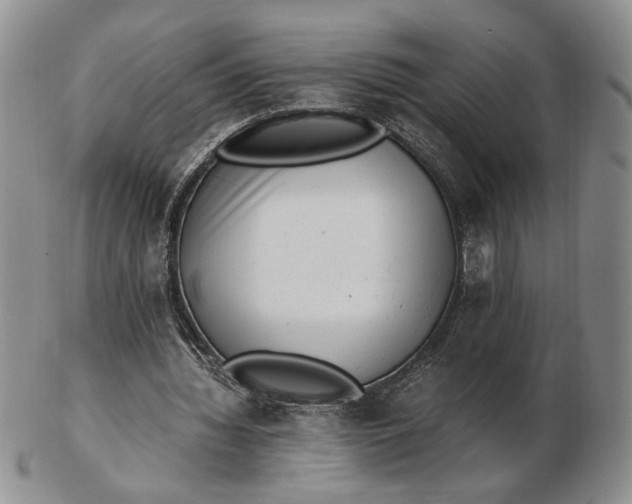 X0000102760436200809021010