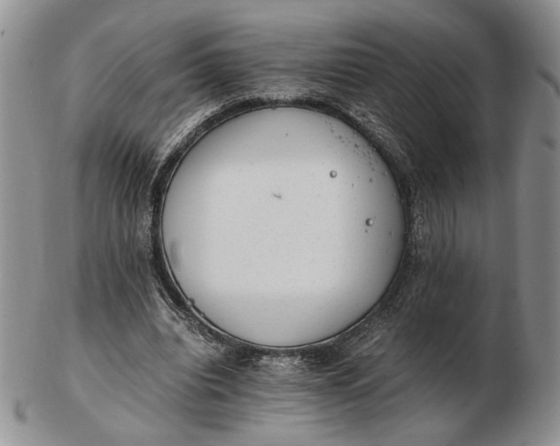 X0000102760440200809021011