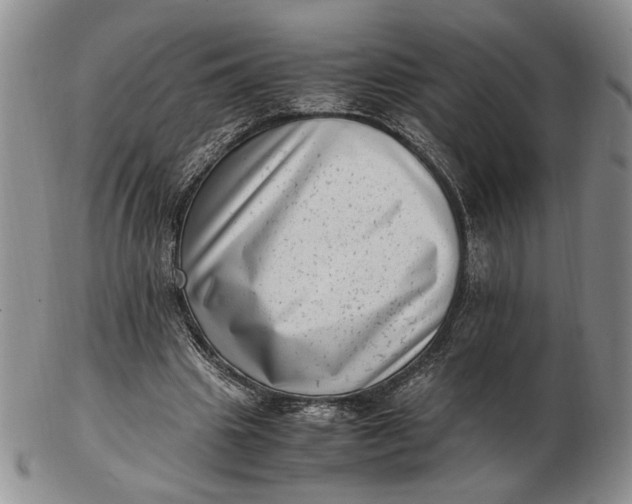 X0000102760441200809021011