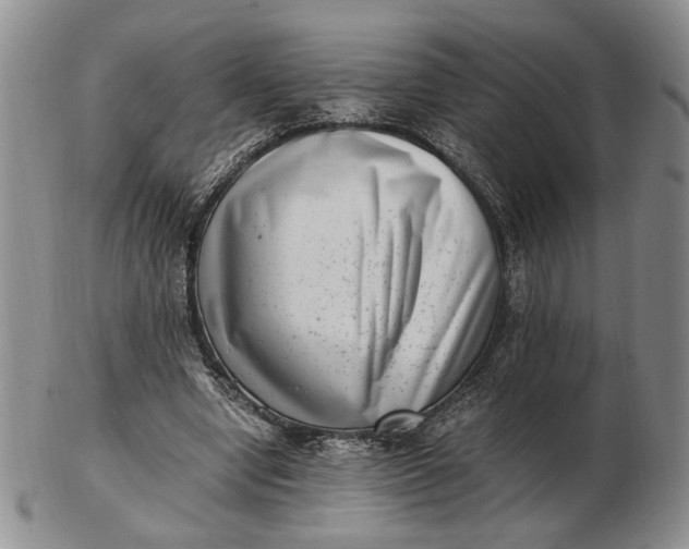 X0000102760442200809021011