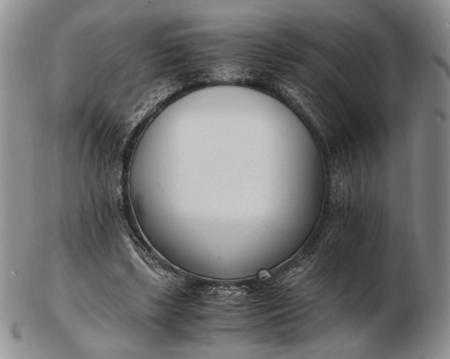 X0000102760443200809021011