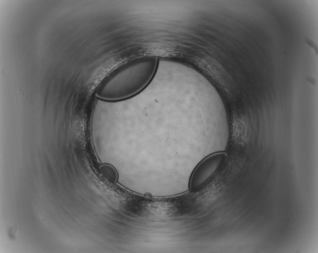 X0000102760444200809021011