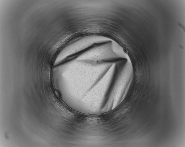 X0000102760446200809021011