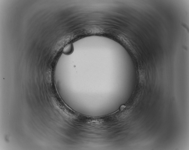 X0000102760447200809021011