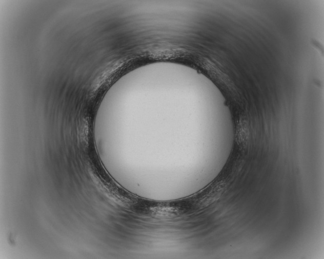 X0000102760448200809021011