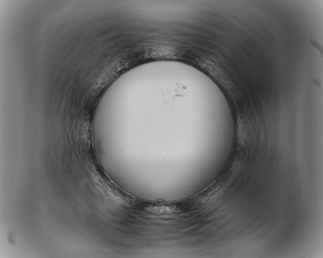 X0000102760449200809021011