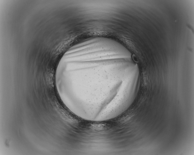 X0000102760450200809021011